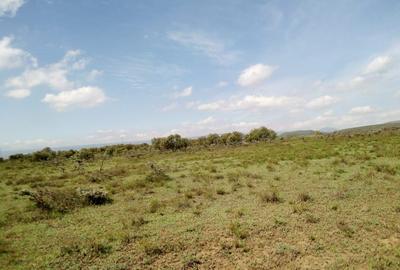 Land in Naivasha