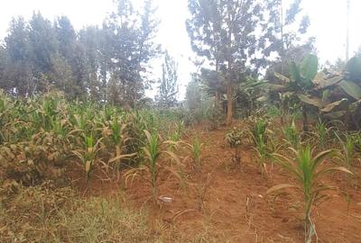 0.75 ac Land at Thindigua