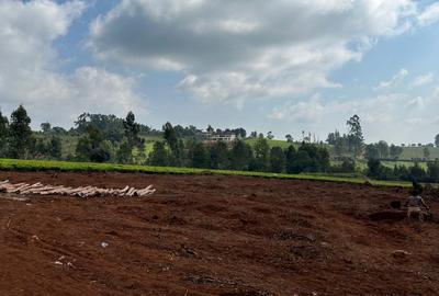 1 ac Land in Tigoni - 3