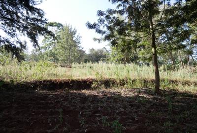 1.18 ac Residential Land at Upper Matasia