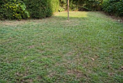 5 Bed Townhouse with En Suite at Kilimani - 2