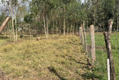 Residential Land at Karen - 4