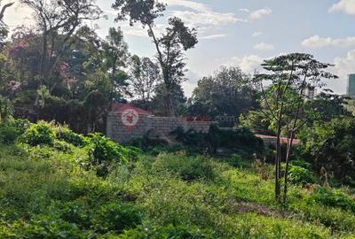 Land at Riara