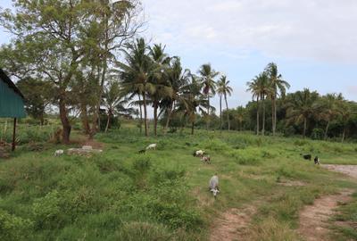 20 ac Land in Kikambala