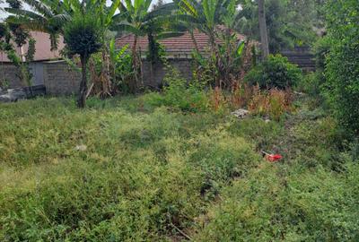 Residential Land at Rimpa - 3