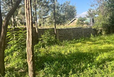 Residential Land at Kandisi - 3