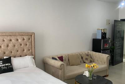 Serviced Studio Apartment with Backup Generator in Ngong Road - 4