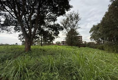 0.5 ac Land in Ruaka - 3