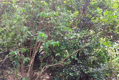 Residential Land at Hardy - 3