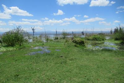 25 ac Land at Moi S Lake Rd - 3