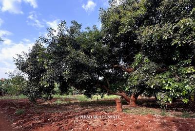 0.5 ac Residential Land in Muthaiga - 4