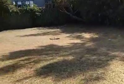 0.25 ac Land in Langata