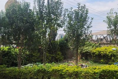 Commercial Land at Masaba Road - 3