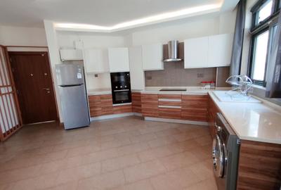 Furnished 1 Bed Apartment with En Suite in Spring Valley - 4