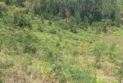 Residential Land at Runda - 3