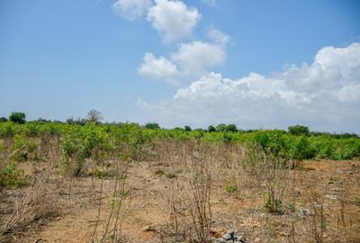 Land at Vipingo