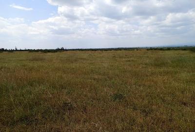 200 ac Land at Naromoru