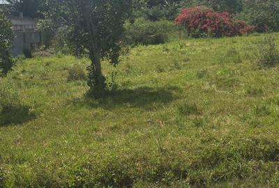 Land in Karen - 3