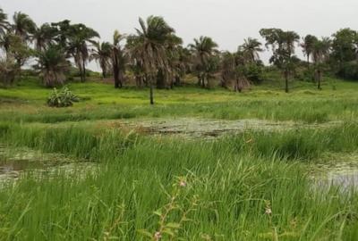 32 ac Land in Diani - 3