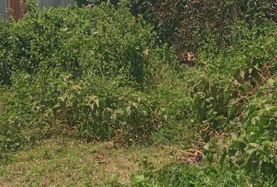 0.25 ac Land in Ruaka - 2