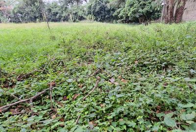 0.51 ac Land at General Mathenge Drive - 2