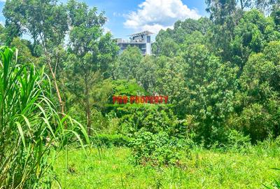 0.1 ha Commercial Land at Mwimuto - 4