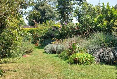 4 Bed House with En Suite in Gigiri