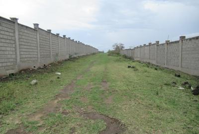 10 ac Land at Sabaki Rd - 2