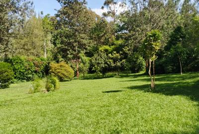 5 Bed Townhouse with Staff Quarters in Karen - 3