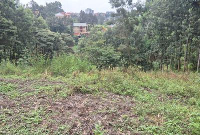 0.25 ac Land in Ruaka - 2