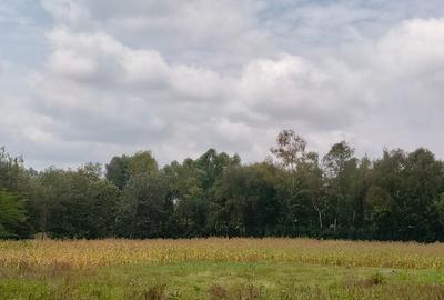 4 Bed House with Staff Quarters at Memusi - 3