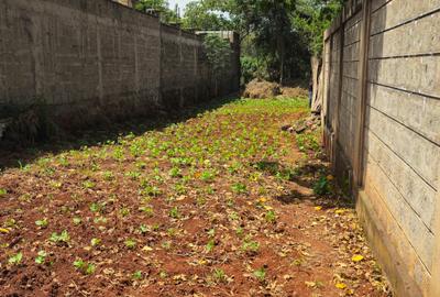 0.25 ac Land at Nyati Drive - 3