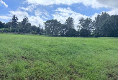 Land in Kitisuru