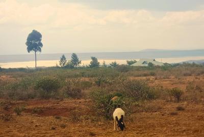Land in Gilgil - 3