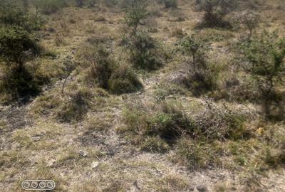 5 ac Land at Sholinke - 4