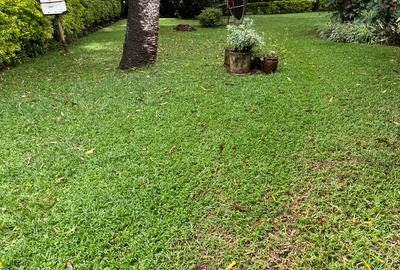 4 Bed House with En Suite at Kitisuru Road