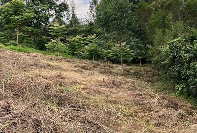 0.67 ac Residential Land at Muhiti Road