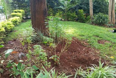 Residential Land in Lavington