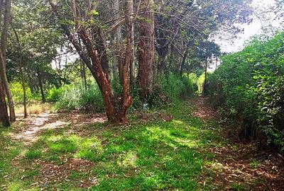 10 ac Land in Karen - 3