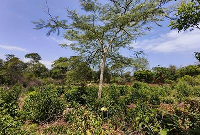 Residential Land at Galu