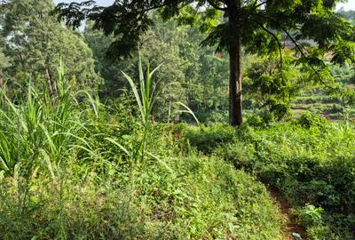 Land in Kitisuru