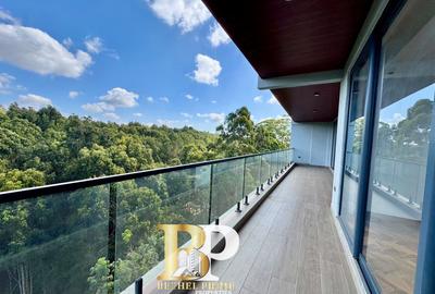 4 Bed Apartment with En Suite in Spring Valley - 4