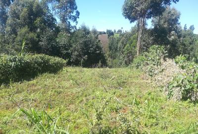 Land at Vipingo Kilifi - 2