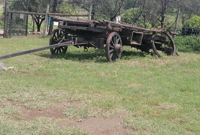 Commercial Land in Naivasha - 4