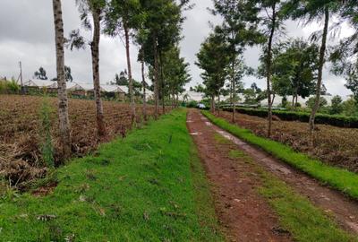 Residential Land at Riara Ridge
