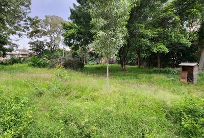 Commercial Land at 2661159