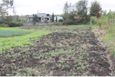 0.10 ha Land at Rimpa Road - 3