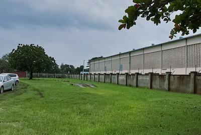 Warehouse in Kikambala