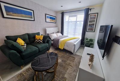 Serviced Studio Apartment with Gym at Off Naivasha Road - 2