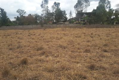 0.5 m² Residential Land in Karen